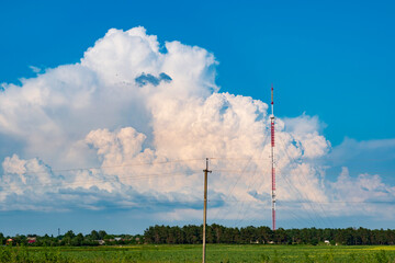 Green grass and blue sky