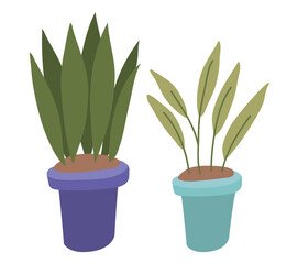 Plants inside pots design of Floral nature garden ornament botany decoration beauty and flora theme Vector illustration