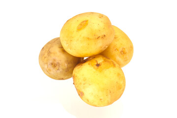 Young small seasonal potato heap