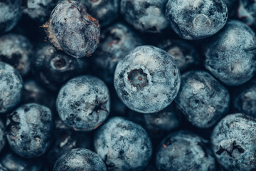 Blueberry background. Texture of blueberry berries close up.Vegetarian concept.