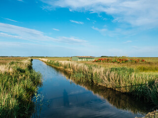 Landscape of Tinnum on the island Sylt in Germany