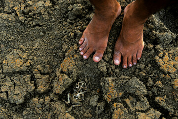 Dead dry frog (toad) carcass and men dirty feet standing on clay cracked soil ground, mud. Close-up view. Climate change, drought, water shortage, environmental disaster. Ceará, Brazil. 