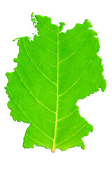 Map of Germany in green leaf texture on a white isolated background. Ecology, climate concept. 3d illustration.