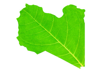 Map of Libya in green leaf texture on a white isolated background. Ecology, climate concept. 3d illustration.