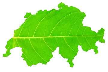 Map of Switzerland in green leaf texture on a white isolated background. Ecology, climate concept. 3d illustration.