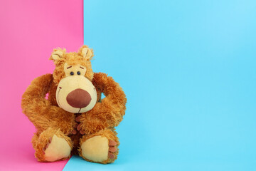 Teddy bear on a pink-blue background. The toy is brown, fluffy.