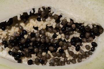 Papaya seeds close up. Inside details of a sliced unripe fruit - Powered by Adobe