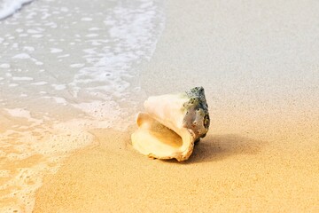 Strand auf der dominikanischen Republik
