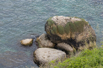 Fototapeta na wymiar rocks with moss on the beach