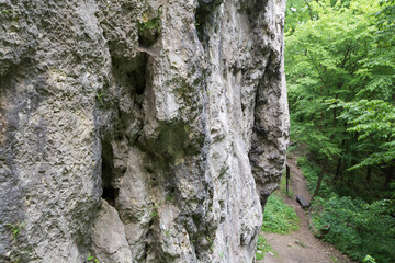 widok na skały i drzewa © Mariusz Sowula