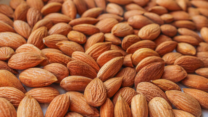 Close up apricot brown seeds. Full frame of tasty kernels