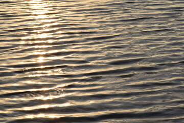 Relaxing waves and ripples across the surface of the Baltic Sea at sunset. 
