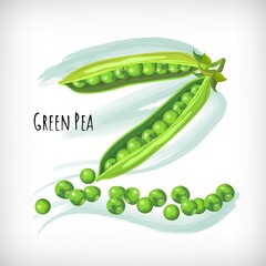 Green pea in flat style on watercolor background. Lettering Green Pea. Hand drawn vector image.