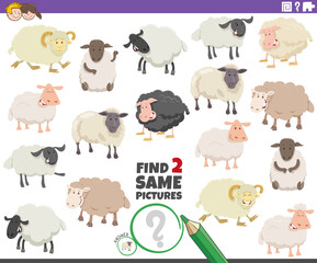 find two same sheep educational game for children