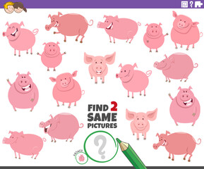 Obraz premium find two same pigs educational game for children