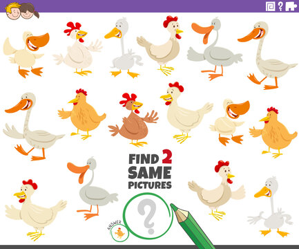 find two same farm birds educational game for children