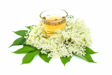 Elderberry tea (Sambucus nigra) on white background