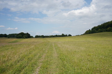 green field and blue sky