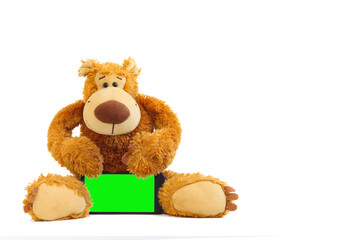 Light brown teddy bear with mobile phone, green screen on the phone. On white background.