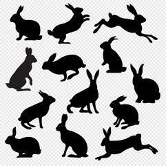 Big Set Rabbit Isolated Transparent Background, Vector Illustration