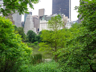 Obraz na płótnie Canvas New York uptown skyscrapers viewed from Central Park in late spring