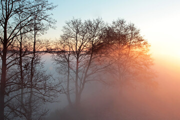 Obraz premium Morning with thick fog over the river. Dawn on a summer morning.