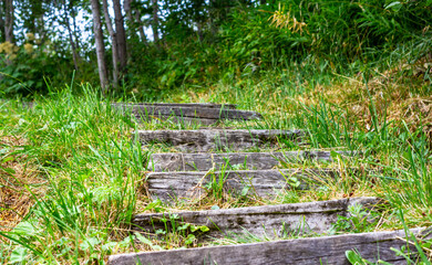 The wooden stairs to the hill in the forest.