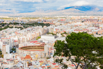 Fototapeta premium 闘牛場 