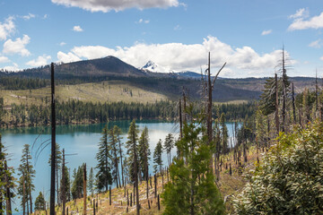 Suttle Lake landscape view from above. Mountain and hills covered by pine forest on a background Central Oregon, USA