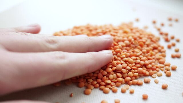 A vegan pours a handful of raw red lentils from his hand onto a table or white surface. 