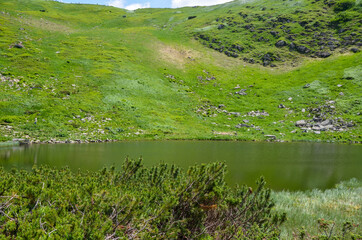 Popular hiking destination alpine mountain lake Nesamovyte situated in mountain ravine near slopes of mount Turkul. Chornohora Ridge, Carpathian Mountains, Ukraine