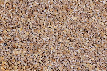 Dried pearled barley closeup flat food background