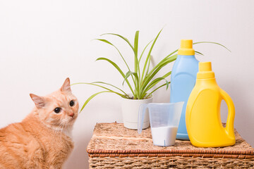 cute red cat sitting next to a wicker basket, washing powder in a measuring cup, washing gel and fabric softener in brightly colored bottles without labels on the basket