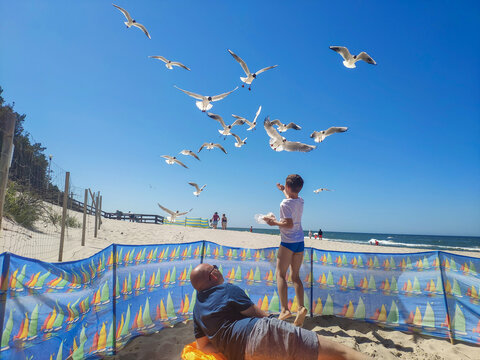 Chłopiec karmi mewy na plaży.