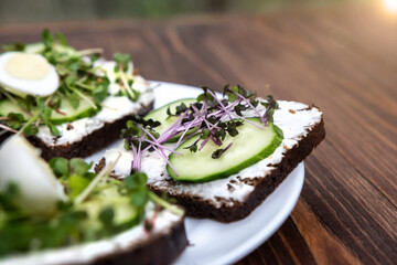 sandwiches with microgreens, cucumber and quail eggs on a white plate. wooden background. a kind of sunny glare. healthy diet. feed option. young sprouts of radish and red cabbage