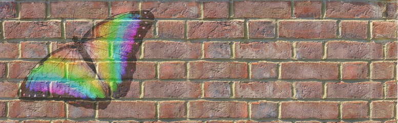 Big Beautiful Rainbow Coloured Butterfly Painted on Brick wall -  positioned on left side with open wings and copy space on right side
