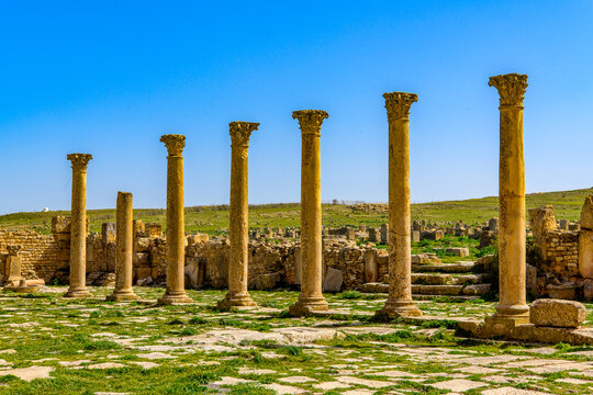 Columns of Madauros, a Roman-Berber city in the old province of Numidia, Algeria