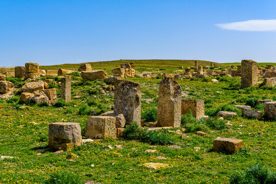 Ruins on the grass of Madauros, a Roman-Berber city in the old province of Numidia, Algeria