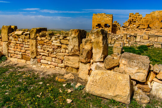 Ruins on the grass of Madauros, a Roman-Berber city in the old province of Numidia, Algeria
