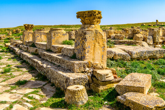 Ruins on the grass of Madauros, a Roman-Berber city in the old province of Numidia, Algeria