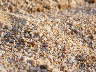 Dettaglio dei granelli di sabbia di una spiaggia in Sardegna