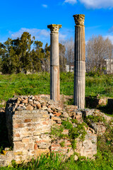 Ruins of Hippo Regius, a Phoenician, Berber and Roman city, Annaba Province, Algeria.