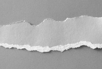 pieces of torn paper texture background, copy space for text.