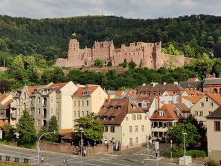 castle of heidelberg with some old buildings