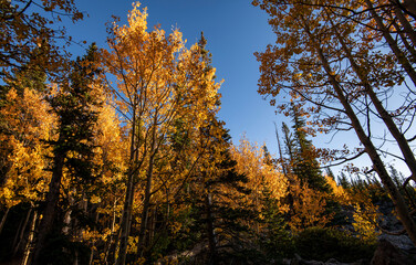 Fall time in the Rocky Mountains