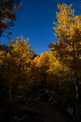 Fall time in the Rocky Mountains