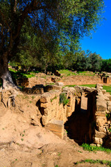 Obraz premium Nature and ruins of Tipasa, a colonia in Roman province Mauretania Caesariensis, nowadays Algeria. UNESCO World Heritage Site