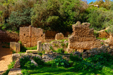Tipasa, a colonia in Roman province Mauretania Caesariensis, nowadays Algeria. UNESCO World...