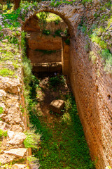 Nature and Roman ruins of Tipasa, a colonia in Roman province Mauretania Caesariensis, nowadays Algeria. UNESCO World Heritage Site