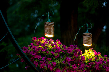 two decorative lanterns for lighting hanging flowerpots with petunia flowers in the evening garden of the backyard, a closeup of the night scene of landscaping nobody.